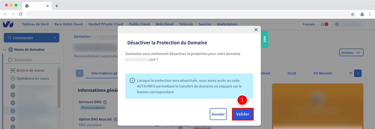 Déblocage nom de domaine OVH