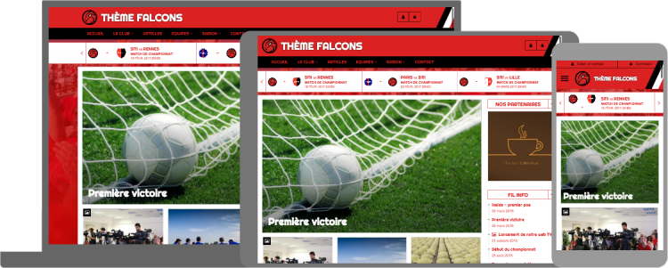 Thème Falcons - responsive design - compatible mobile/tablette